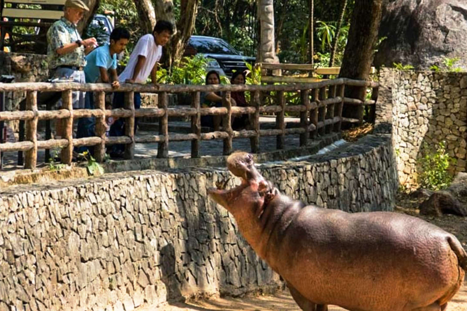 カオキアオ・オープン動物園の観光施設写真